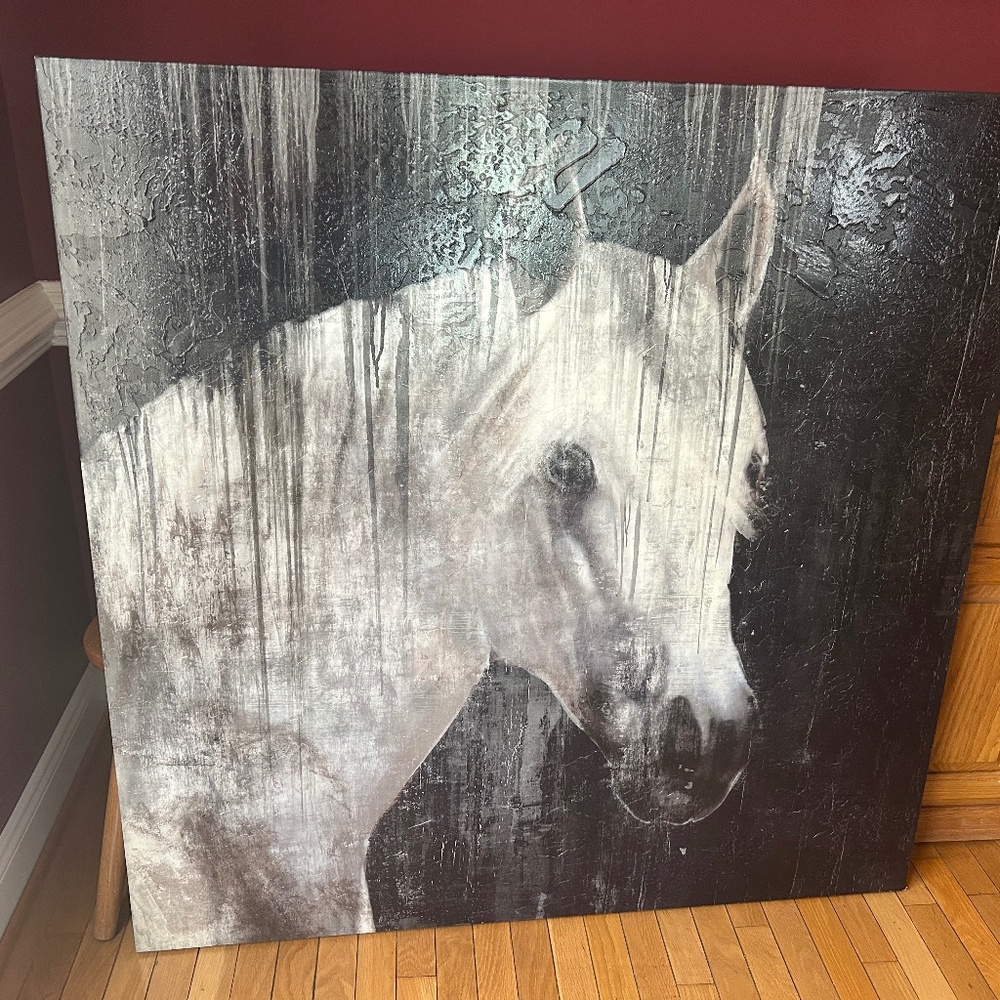 Large Framed Canvas – "Pane Horse" by Sarah Atkinson (48"x48")